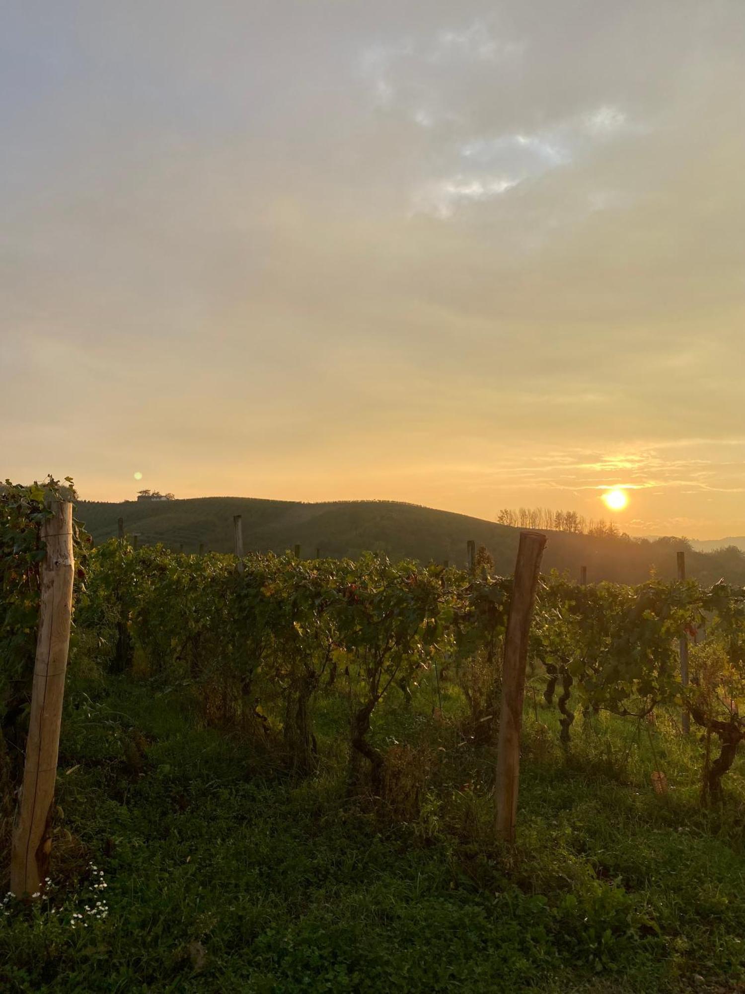 Tenuta Agricola La Cava- Cantina E Agriturismo San Damiano dʼAsti Exteriör bild