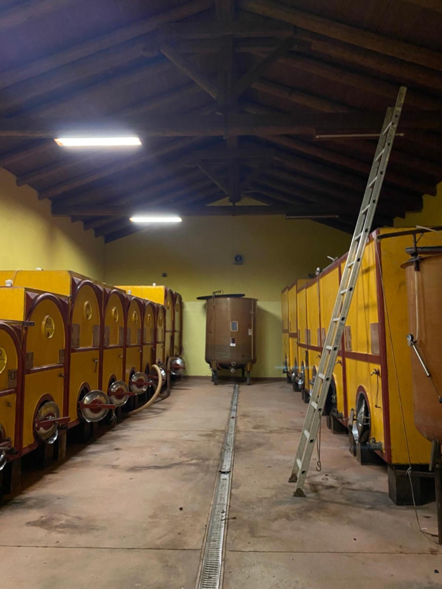 Tenuta Agricola La Cava- Cantina E Agriturismo San Damiano dʼAsti Exteriör bild