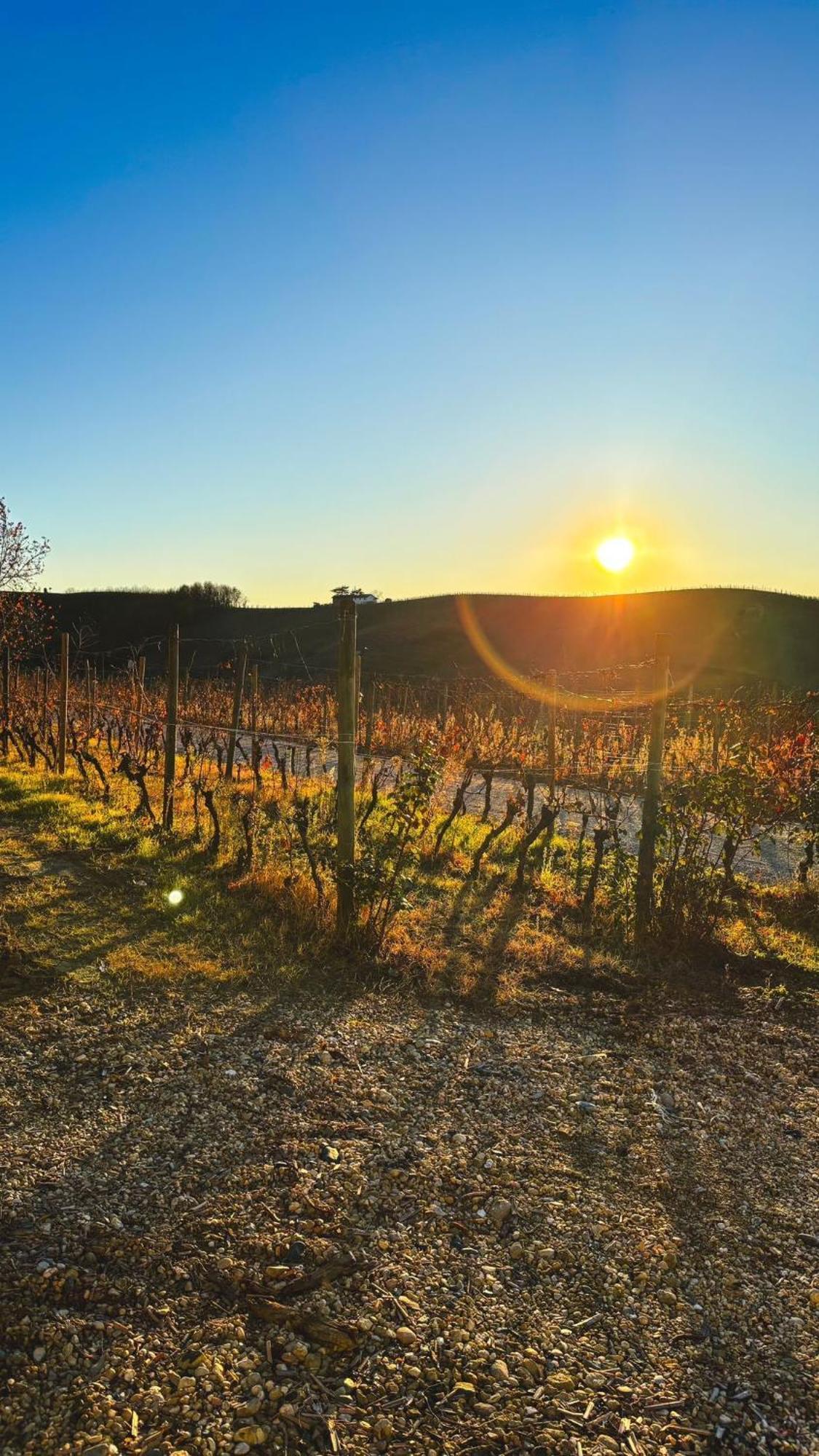 Tenuta Agricola La Cava- Cantina E Agriturismo San Damiano dʼAsti Exteriör bild