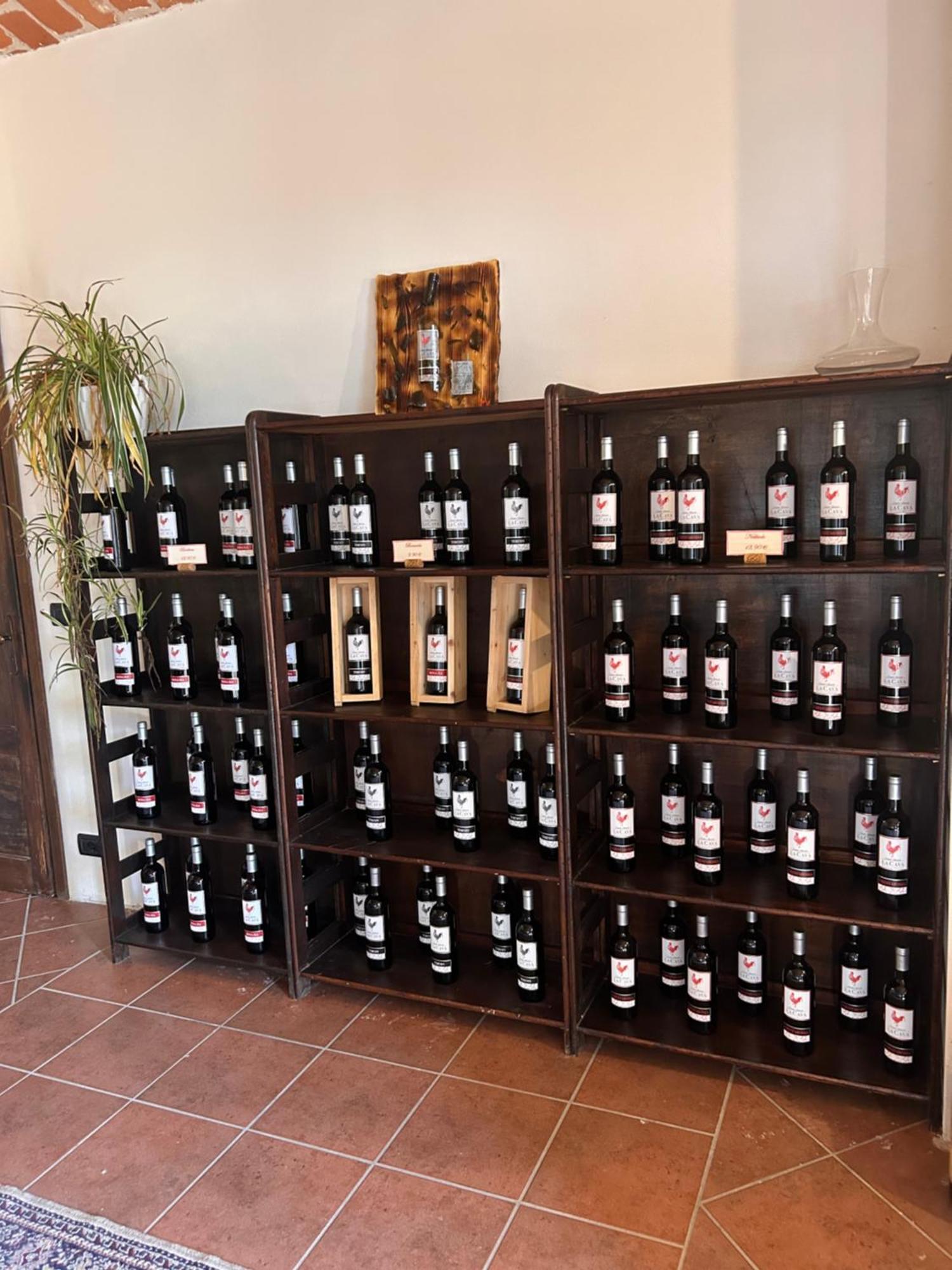 Tenuta Agricola La Cava- Cantina E Agriturismo San Damiano dʼAsti Exteriör bild