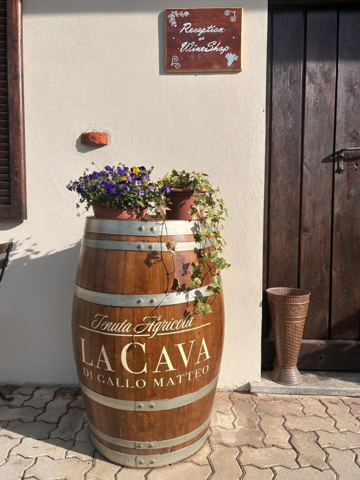 Tenuta Agricola La Cava- Cantina E Agriturismo San Damiano dʼAsti Exteriör bild