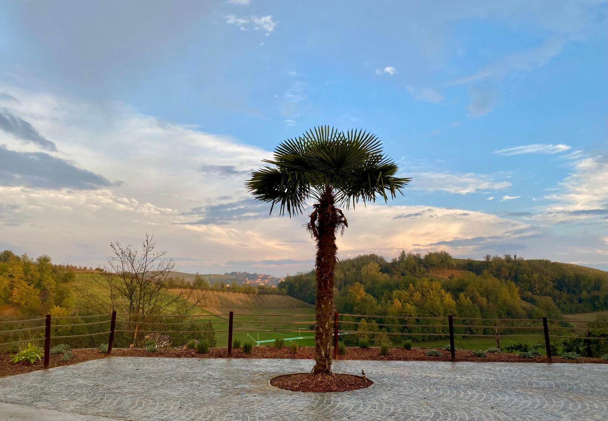 Tenuta Agricola La Cava- Cantina E Agriturismo San Damiano dʼAsti Exteriör bild